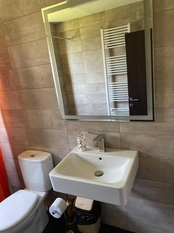 Appartamento Casa Cerbului Vişeu de Sus Esterno foto