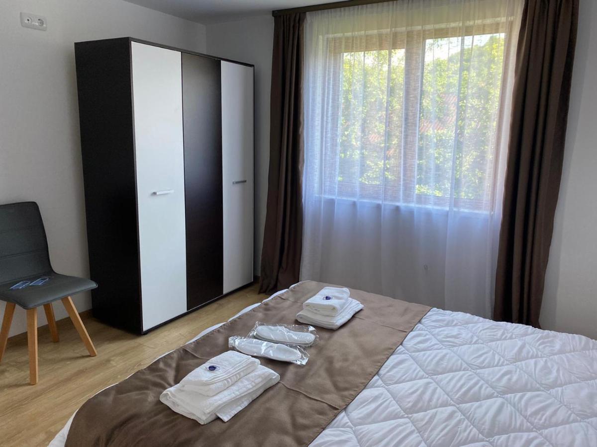 Appartamento Casa Cerbului Vişeu de Sus Esterno foto